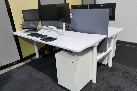 Dual Sit-to-Stand Workstation with Screen
